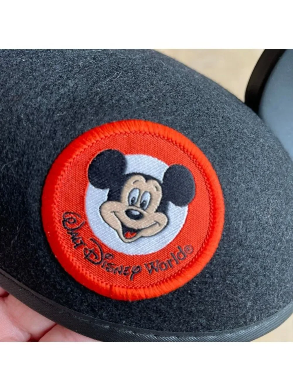 Disney Parks Magic Kingdom 